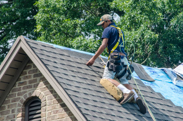 Best Roof Maintenance Services  in Powells Crossroads, TN